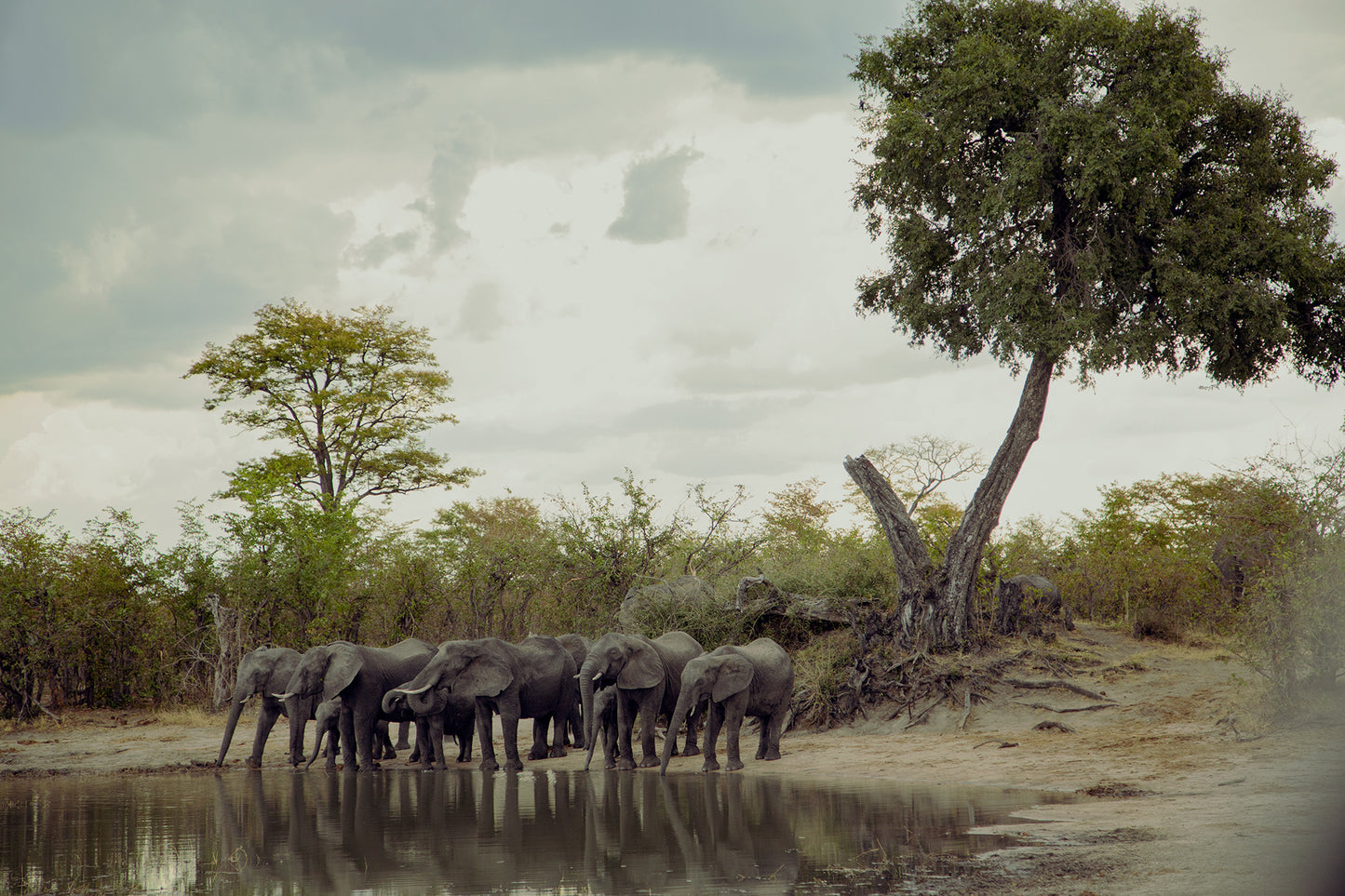 Waterhole